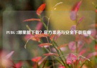 PUBG 2哪里能下载？官方渠道与安全下载指南