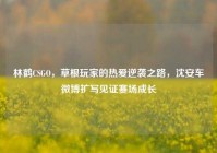 林鹤CSGO，草根玩家的热爱逆袭之路，沈安车微博扩写见证赛场成长