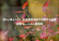 当Wine遇上CSGO，机械键盘加持下的跨平台竞技盛宴与csgowindows键指南