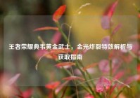 王者荣耀典韦黄金武士，金光炸裂特效解析与获取指南