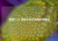 桀桀？lol！那些又怕又笑的日常瞬间