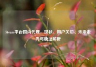 Steam平台国内代理，现状、用户关切、未来走向与地址解析