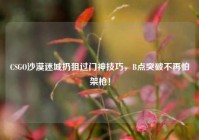 CSGO沙漠迷城扔狙过门神技巧，B点突破不再怕架枪！