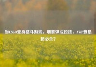 当CSGO变身格斗游戏，烟雾弹成投技，AWP竟是超必杀？