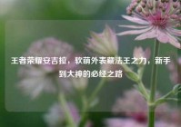 王者荣耀安吉拉，软萌外表藏法王之力，新手到大神的必经之路