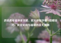 逆战虎年福袋全攻略，照片获取步骤+隐藏技巧，限定奖励与福袋内容大揭秘