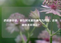 逆战银手链，刻在时光里的勇气与约定，还有哪些手环饰品？