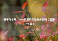 橙子与小号，CSGO玩家的另类身份密码（国服小号篇）
