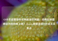 CF小羊皮黑银中号再掀涨价风波，经典款保值神话为何持续上演？cfjumbo黑银漆皮19开成关注焦点