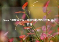 Steam上的中国之光，那些惊艳世界的好玩国产游戏
