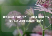 那些年手机吃鸡的日子——致和平精英初代玩家，你还记得我们以前叫什么吗？