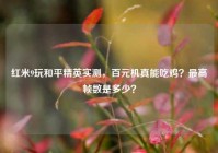 红米9玩和平精英实测，百元机真能吃鸡？最高帧数是多少？