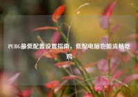PUBG最低配置设置指南，低配电脑也能流畅吃鸡