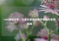 CSGO饰品出售，从虚拟道具到真实收益的变现指南