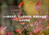 CSGO里的笑声，不止胜利欢呼，更是战场温度与搞笑时刻