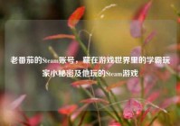 老番茄的Steam账号，藏在游戏世界里的学霸玩家小秘密及他玩的Steam游戏