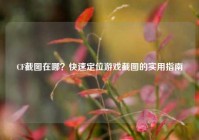 CF截图在哪？快速定位游戏截图的实用指南