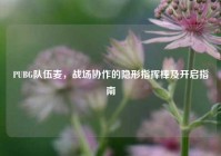PUBG队伍麦，战场协作的隐形指挥棒及开启指南