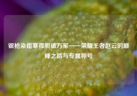 银枪染霜寒孤胆破万军——荣耀王者赵云的巅峰之路与专属称号