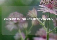 CSGO实战教学，从新手到进阶的5个核心技巧