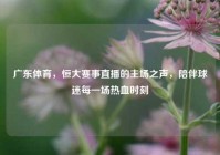 广东体育，恒大赛事直播的主场之声，陪伴球迷每一场热血时刻