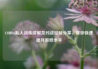 COD16私人训练详解及对战经验分享，教你快速提升游戏水平
