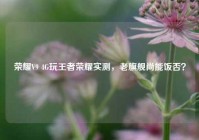 荣耀V9 4G玩王者荣耀实测，老旗舰尚能饭否？