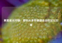 黄黑星光闪耀，那些从多特蒙德走出的足坛巨星
