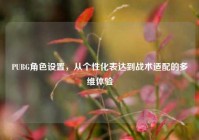 PUBG角色设置，从个性化表达到战术适配的多维体验