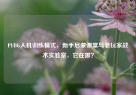 PUBG人机训练模式，新手启蒙课堂与老玩家战术实验室，它在哪？