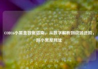 COD16小黑盒数据指南，从数字解析到战场进阶，附小黑屋网址