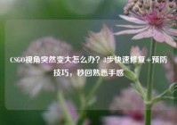 CSGO视角突然变大怎么办？3步快速修复+预防技巧，秒回熟悉手感