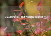 CSGO弯刀出鞘，那道划破硝烟的冷冽锋芒