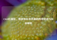 CSGO红星队，独联体红色风暴的传奇轨迹与队标解析