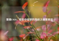 墨黑CSGO，暗影中绽放的竞技之魂墨黑花