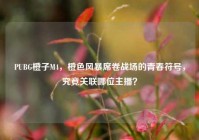 PUBG橙子M4，橙色风暴席卷战场的青春符号，究竟关联哪位主播？