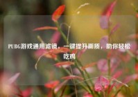 PUBG游戏通用滤镜，一键提升画质，助你轻松吃鸡