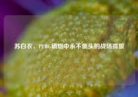 苏白衣，PUBG硝烟中永不低头的战场孤狼