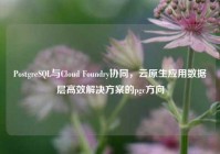PostgreSQL与Cloud Foundry协同，云原生应用数据层高效解决方案的pgc方向