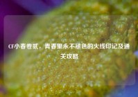 CF小春卷贰，青春里永不褪色的火线印记及通关攻略