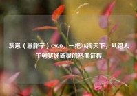 灰崽（崽胖子）CSGO，一把AK闯天下，从路人王到赛场新星的热血征程