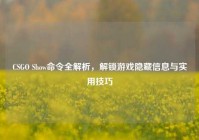 CSGO Show命令全解析，解锁游戏隐藏信息与实用技巧