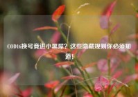 COD16换号竟进小黑屋？这些隐藏规则你必须知道！