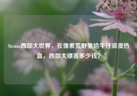 Steam西部大世界，在像素荒野重拾牛仔浪漫热血，西部大镖客多少钱？