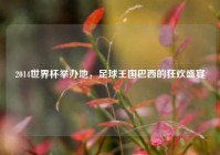 2014世界杯举办地，足球王国巴西的狂欢盛宴