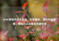 PUBG举报外挂全指南，反馈情况、官方处理流程、查询方法及是否会被发现