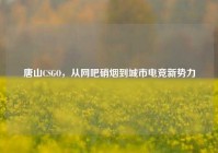唐山CSGO，从网吧硝烟到城市电竞新势力