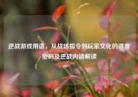 逆战游戏用语，从战场指令到玩家文化的语言密码及逆战内涵解读
