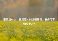 家庭组Steam，连接家人的温暖纽带，最多可容纳多少人？