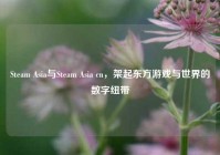 Steam Asia与Steam Asia cn，架起东方游戏与世界的数字纽带